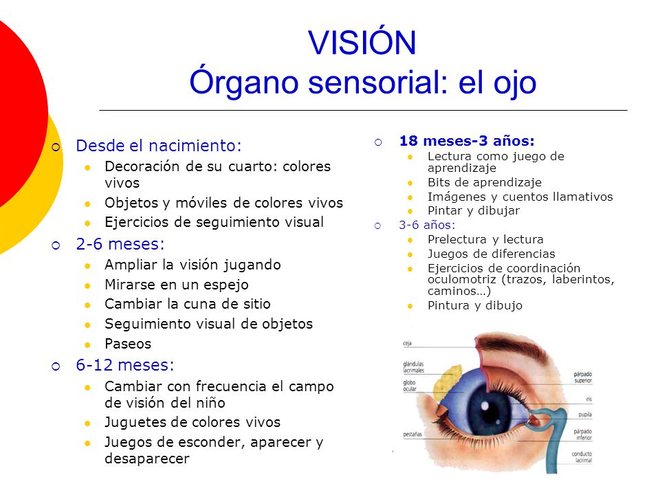Los dolores en la espalda a la inspiración al embarazo